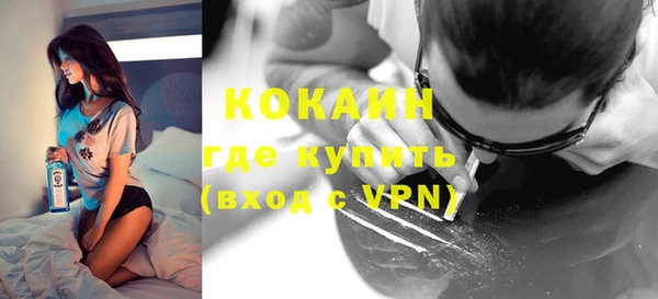 дживик Белокуриха