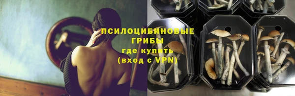 гашик Беломорск