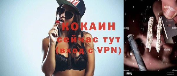 дживик Белокуриха