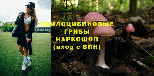 дживик Белокуриха