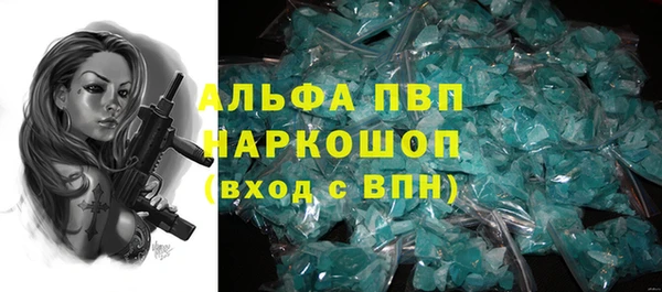 гашик Беломорск