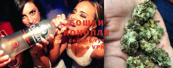 дживик Белокуриха