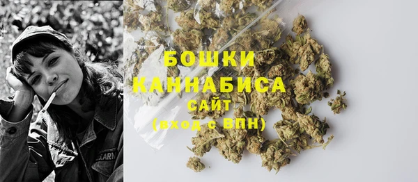 дживик Белокуриха