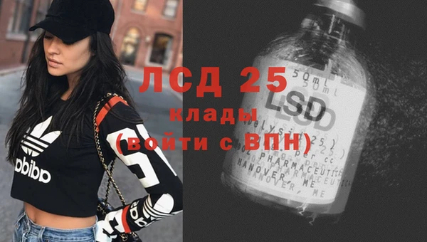 дживик Белокуриха