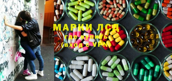 дживик Белокуриха