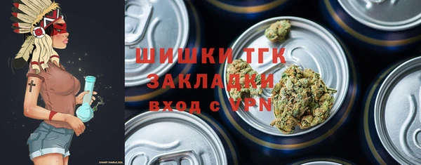дживик Белокуриха