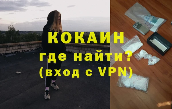 дживик Белокуриха